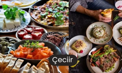 What is Çeciir?: Everything You Need to Know