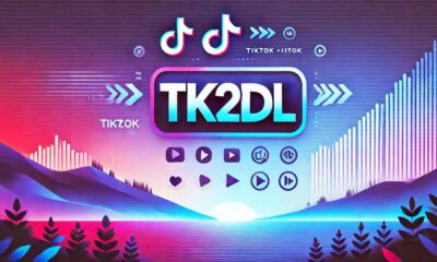 Tk2dl: A Tool for Downloading TikTok Videos Without Watermarks